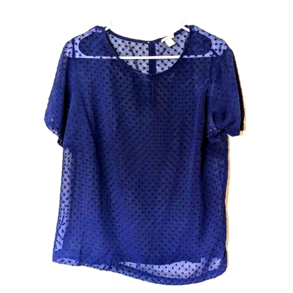 A new day Polka Dot Sheer Blouse